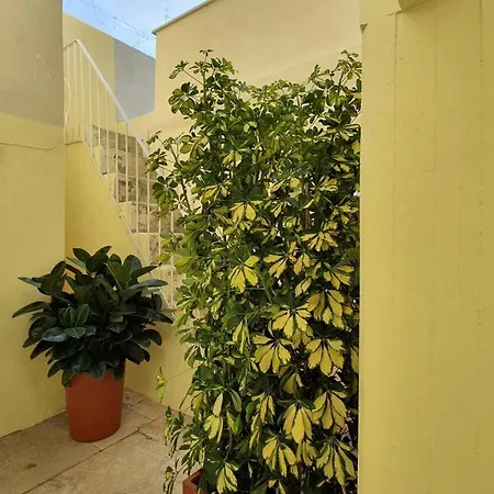 Maison d'hôtes Twin Apulia - Centro *