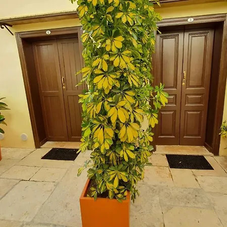 Twin Apulia - Centro